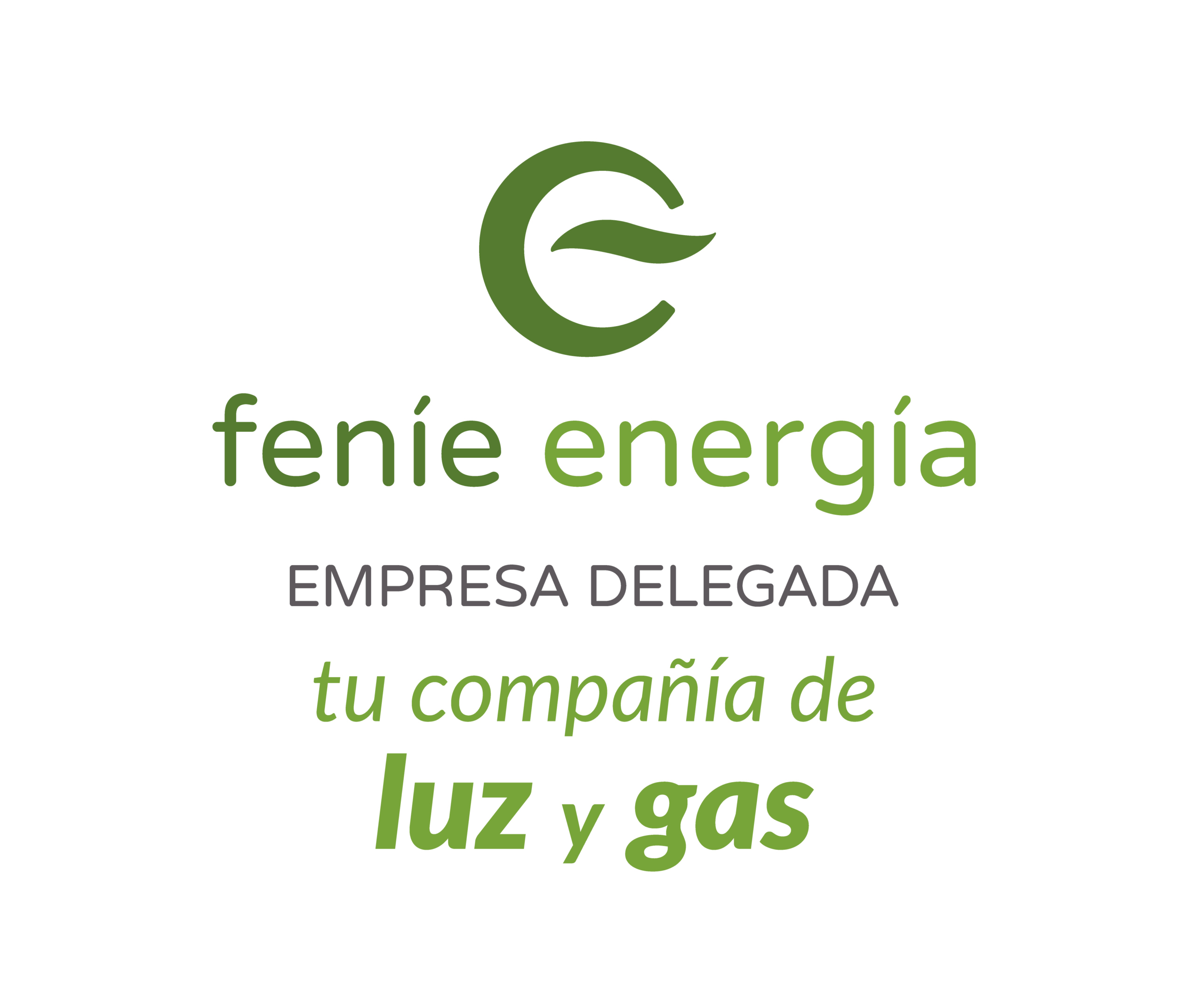 02_10 LOGO EDE FENIE ENERGIA